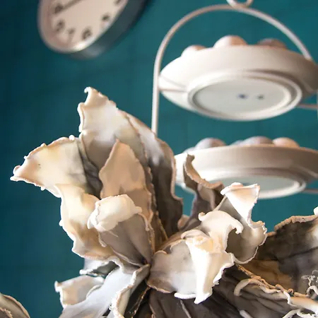 Kings * Алкмар